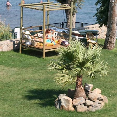 Gumbet Cove Hotel Extérieur photo