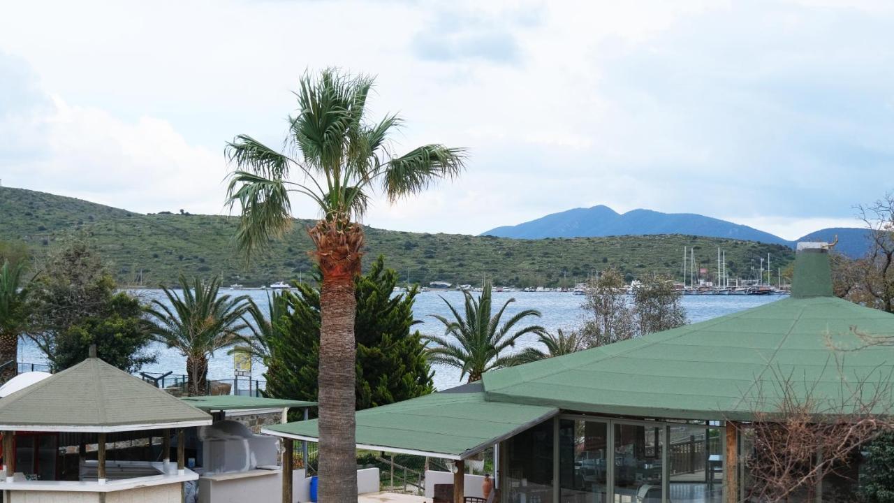 Gumbet Cove Hotel Extérieur photo